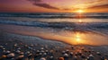 Golden Hour Serenity: Seashells Scattered on the Beach at Sunset with Ocean Waves Royalty Free Stock Photo