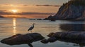 A Great Blue Heron Stands Silhouetted Against a Golden Sunset Over Calm Ocean Royalty Free Stock Photo