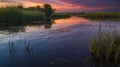Reflections of Sunset Colors on Calm Water with Lush Green Vegetation Royalty Free Stock Photo