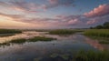 Marsh Landscape at Dusk Reflecting Pink Clouds in Calm Water Scenery Royalty Free Stock Photo