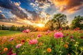 Serene sunset over a vibrant wildflower meadow with sun rays shining through the clouds. Generative AI Royalty Free Stock Photo