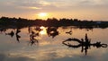 Serene Sunset over Water with Silhouetted Driftwood Royalty Free Stock Photo