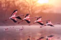 Flamingos in Flight at Sunset Over Water. Generative AI Royalty Free Stock Photo