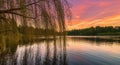 Serene Sunset Reflection. Weeping Willow Gracefully Overlooking Tranquil Waters. Royalty Free Stock Photo