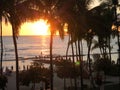 Serene sunset at a tropical beach with palm trees and people watching