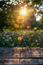 Serene Sunset View Over Blooming Wildflowers from Wooden Deck in Picturesque Park Setting