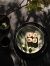 A serene sushi presentation with wasabi and soy sauce, highlighted by soft shadows Royalty Free Stock Photo