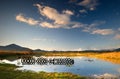 Serene swampy landscape Royalty Free Stock Photo