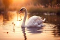 Serene Swan on Golden Pond at Sunset, AI Generated