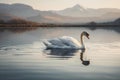 Serene Swan on Mountain Lake at Sunrise