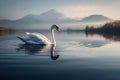 Serene Swan on Mountain Lake at Sunrise