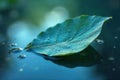 Serene teal leaf afloat on tranquil water, gentle ripples and bubbles reflecting light. Generative AI Royalty Free Stock Photo