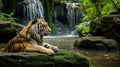 Serene Tiger: Contemplation by the Cascading Waterfall