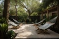 a serene and tranquil backyard oasis, with a hammock and lounge chairs for ultimate relaxation