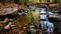 Serene And Tranquil Scenes: Captivating Wetland Stream With Fallen Leaves And Rocks Royalty Free Stock Photo