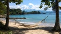 Serene Tropical Beach Hammock Scene Royalty Free Stock Photo