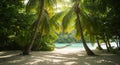 Serene Tropical Beach Hammock Scene with Sunlight Royalty Free Stock Photo