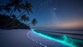 Moonless Night at a Serene Tropical Beach Royalty Free Stock Photo