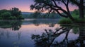 Serene Sunset Reflection on Calm Lake Water with Overhanging Tree Royalty Free Stock Photo