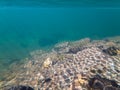 Serene underwater landscape of a pristine Norwegian lake, with beautiful sunlight creating caustic patterns on the rocky bed Royalty Free Stock Photo