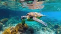 Serene Underwater Paradise: Sea Turtle and Vibrant Coral. Generative AI.