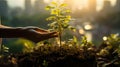 Serene urban garden moment with a woman tending to kale, subject kneeling among lush kale plants, hands gently caring for the