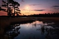 A serene view of the setting sun casting a warm glow over the peaceful scene of water and trees, A peaceful marsh at dusk with Royalty Free Stock Photo