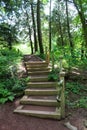 Peaceful walk through the woods, where stairs lead hikers to the hill top Royalty Free Stock Photo