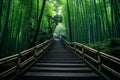 Serene walkway leading through picturesque bamboo forest scenery Royalty Free Stock Photo