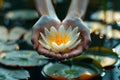 Serene Water Lily Cradled in Cupped Hands at Dusk Royalty Free Stock Photo