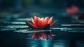 Serene Water Lily Reflection in a Tranquil Pond Royalty Free Stock Photo
