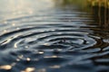 Serene Water Ripples: Nature\'s Dripping Symphony