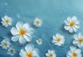 Serene Water Surface with Floating Frangipani Flowers Royalty Free Stock Photo