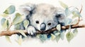 Serene Watercolor Koala Clutching Eucalyptus on White Background AI Generated