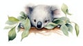 Serene Watercolor Koala Clutching Eucalyptus on White Background AI Generated