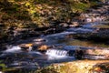 Serene waterfall flows gently in Fall season Royalty Free Stock Photo