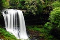 A serene waterfall flows in a lush forest