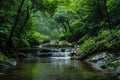 Serene Waterfall in Lush Green Forest