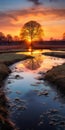 Golden Light: A Stunning Uhd Image Of A Tree On The Water