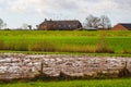 Flying geese in a wet Dutch landscape near Zutphen, the Netherlands