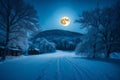 A serene winter landscape with a bright full moon on New Year\'s