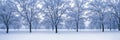 A serene winter landscape, picturesque panorama. Generative AI