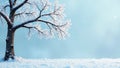 Serene winter landscape snow-covered branches of a solitary tree against a soft blue sky. Generative AI Royalty Free Stock Photo