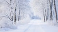 Winter transforms the forest trail into a snowy wonderland.AI Generated