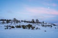 Serene winter wonderland in the norwegian wilderness. Pink skies and full moon fills the sky.