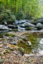 Serene Woodland Stream with Mossy Rocks in Smoky Mountains Royalty Free Stock Photo