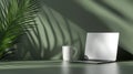 Minimalist Workspace With Open Laptop, White Coffee Mug, and Green Palm Leaf Casting Shadows on Modern Green Wall for a Calm and Royalty Free Stock Photo