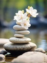 zen stones and white flowers