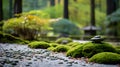 A serene Zen garden, with raked gravel and moss as the background, during a tranquil meditation session Royalty Free Stock Photo