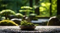 A serene Zen garden, with raked gravel and moss as the background, during a tranquil meditation session Royalty Free Stock Photo